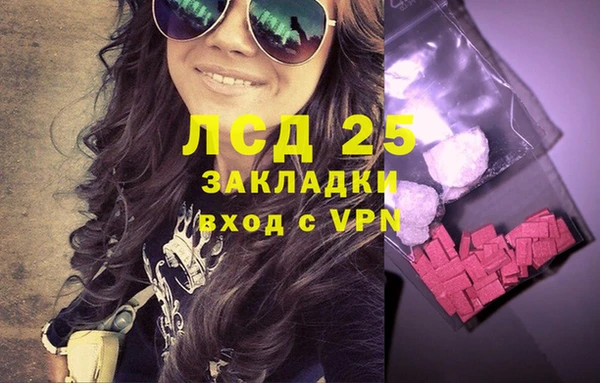стафф Валдай